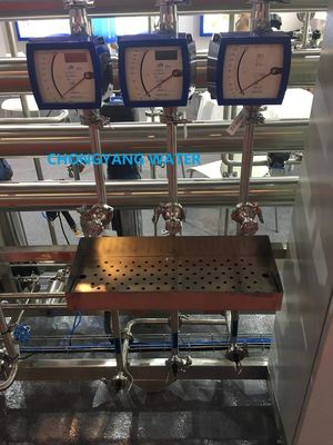 Sistema di acqua per farmaci Sistema di acqua purificata per farmaci con DQ IQ OQ FAT SAT